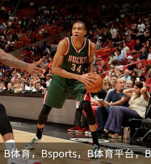B体育，Bsports，B体育平台，B体育下载概况